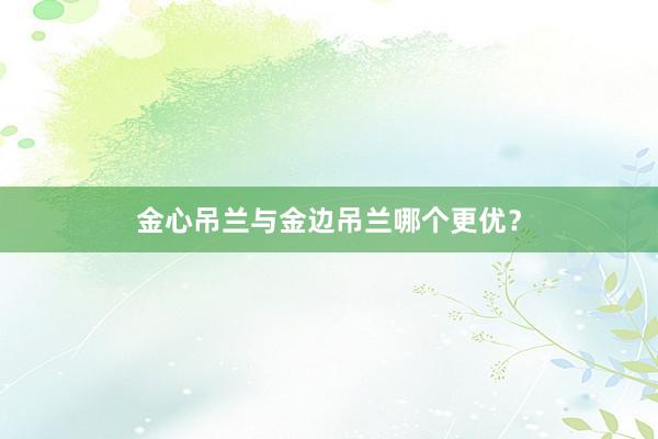 金心吊兰与金边吊兰哪个更优?