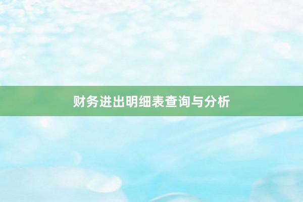 财务进出明细表查询与分析